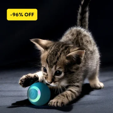 Roobze | Smart Electric Cat Ball Toy