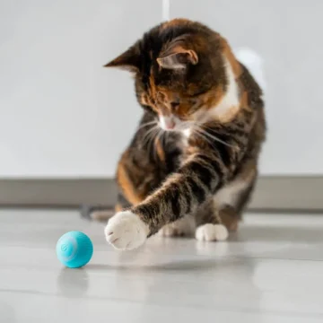Roobze | Smart Electric Cat Ball Toy